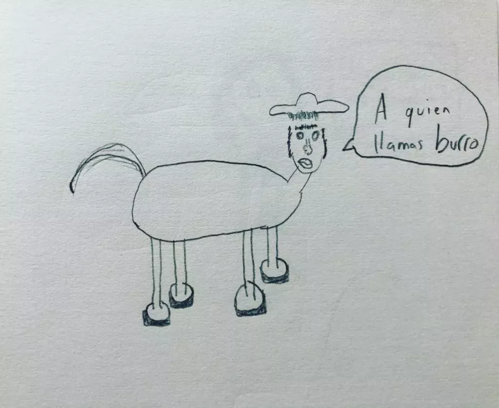 burro